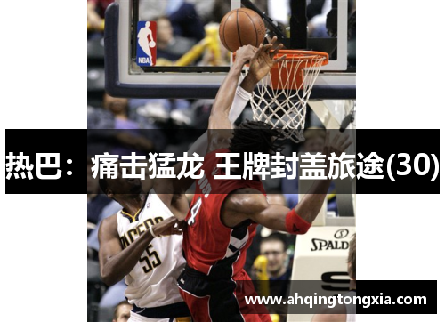 热巴：痛击猛龙 王牌封盖旅途(30)